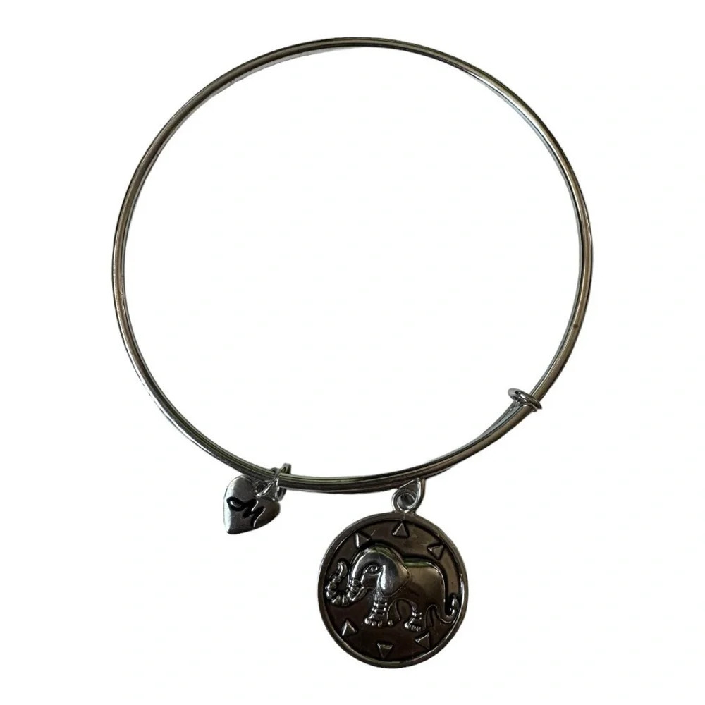 925 Charmed Memories Bangle Bracelet - Picture 9 of 11